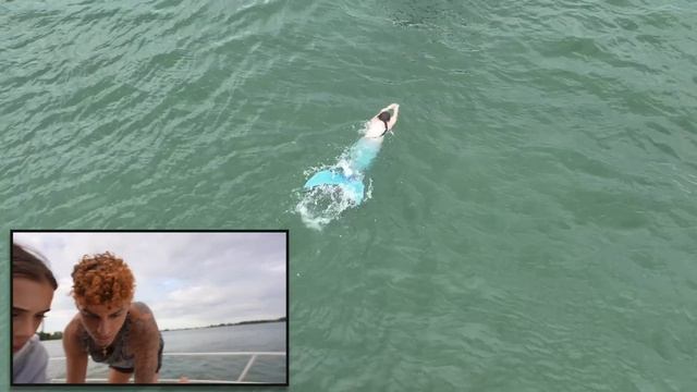 drone catches real little mermaid jump on our boat! смотреть онлайн
