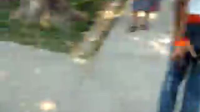 me chantel n sasha bein stupid смотреть онлайн