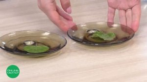 3 класс. Естествознание. 1 урок. Процесс фотосинтеза