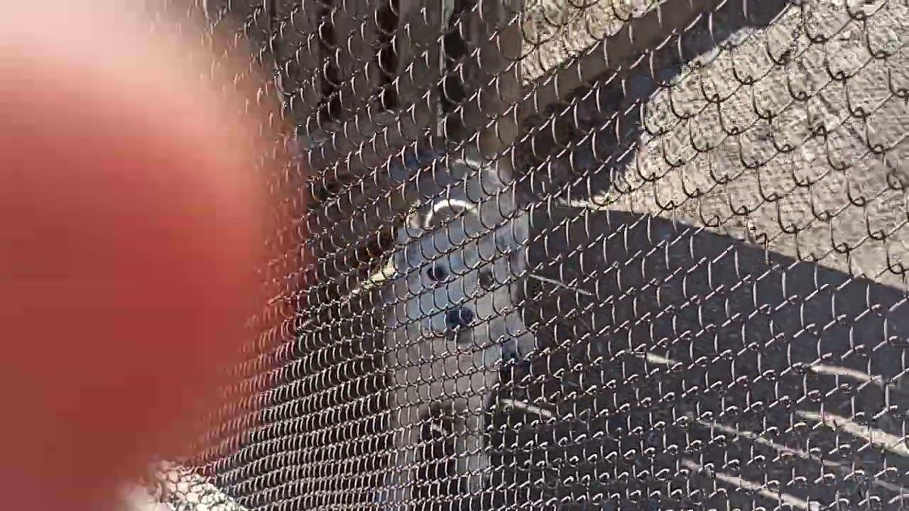 ШЕЛЬМА. смотреть онлайн