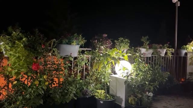 ?ЛАЗАРЕВСКОЕ СЕГОДНЯ?СОЧИ. смотреть онлайн