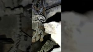 Опель вектра с  зняття стартера і датчика колінчастого валу  1.8 xer