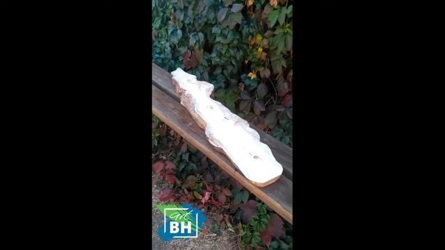 Спил дерева вместо холста от Верхошанского Николая