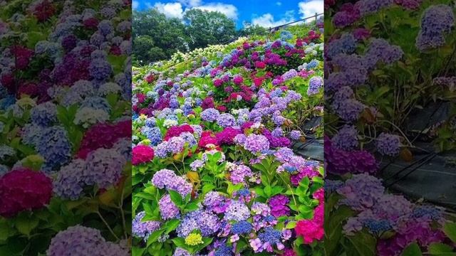 День рождения Друга (моё личное стихотворение) смотреть онлайн