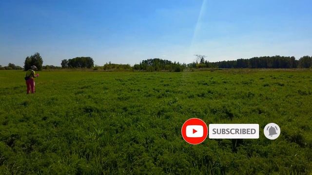 Метало коп \ Много мелочи \ Металлоискатель MD-4080 смотреть онлайн