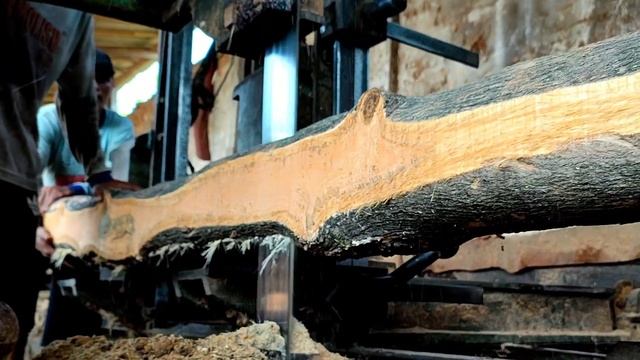 Lihatlah,mahluk apakah yg menempel pada kayu jati itu.sungguh ini menjadi pengalaman terburuk sawmi смотреть онлайн