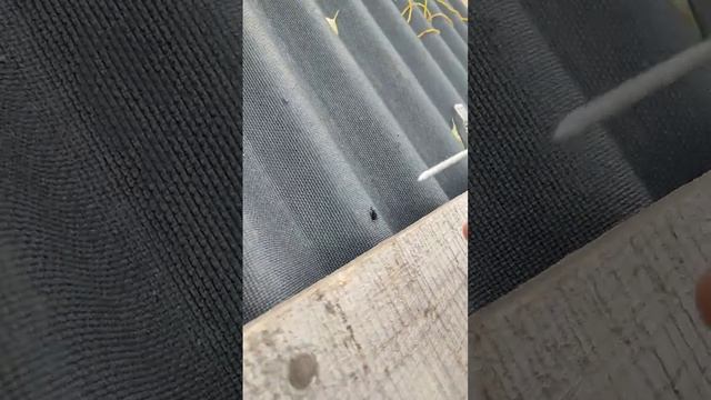 Строительные Магниты