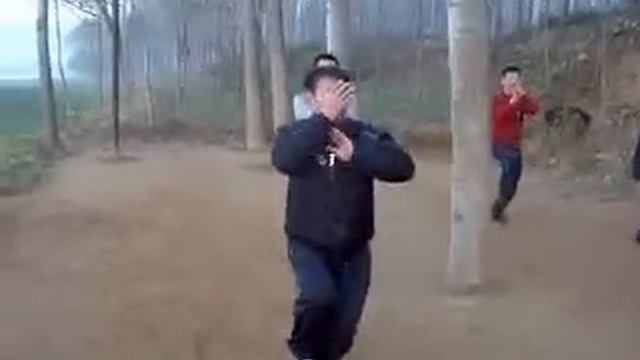 Отработка приёмов кунг-фу(ушу) смотреть онлайн