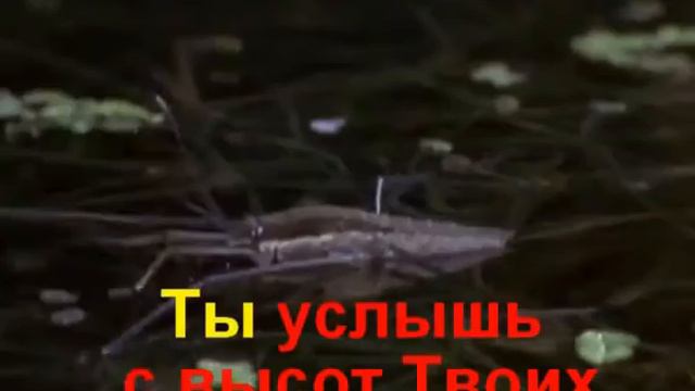 №104 Отче наш, Твои мы дети смотреть онлайн
