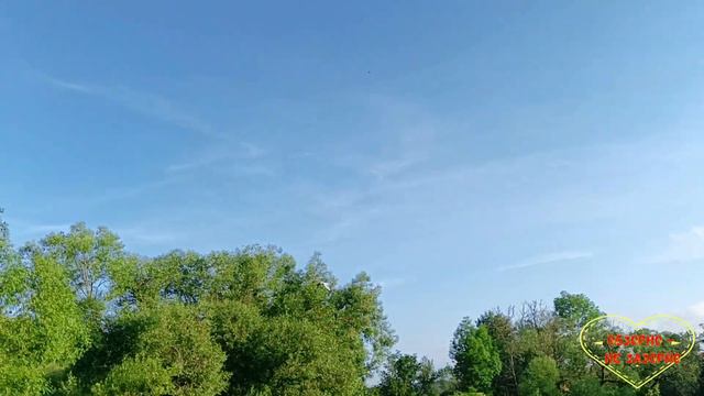 Многодетная семья Тарантиных//Всё сама//Обзор видео// смотреть онлайн