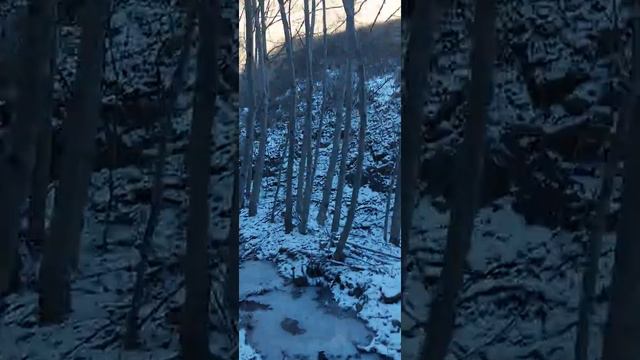 горный леса цеси смотреть онлайн