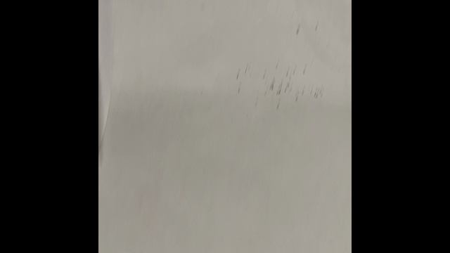 Семена кампанула.