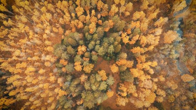Белорецк. Река каменная. Осень❤️🍁 смотреть онлайн