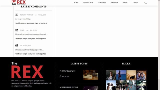 The REX - Drupal 8 Magazine and Blog Theme - CMS Themes Download смотреть онлайн