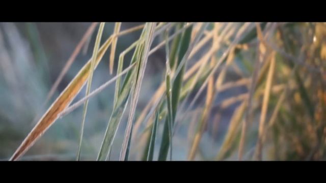 Sony a 5100 vidéo test смотреть онлайн