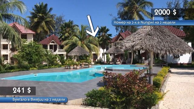 ZANZIBAR. ч.2. Для чего нужны масаи? Как достать кокос с пальмы? Где лучшие пляжи? смотреть онлайн