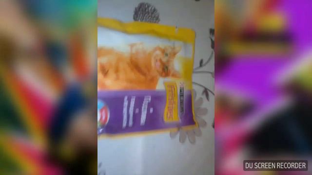 КАК ЖИВЁТ МОЯ КОШКА СОНЯ смотреть онлайн
