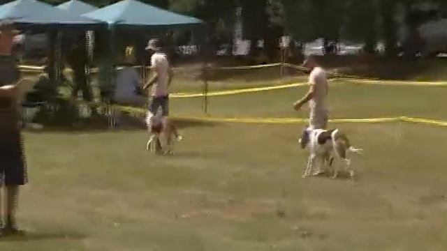 VI Всеукраїнська ринг РРГ Середня вікова вижлиці1 смотреть онлайн
