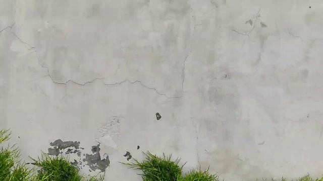 Дом на берегу речки смотреть онлайн