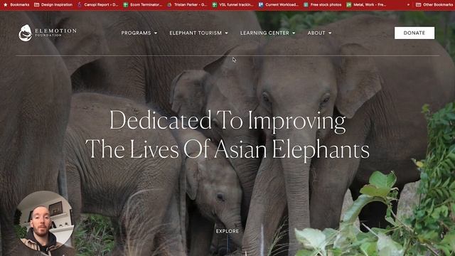 COPY These Website Hero Sections (Incredible Inspiration Built with Elementor) смотреть онлайн