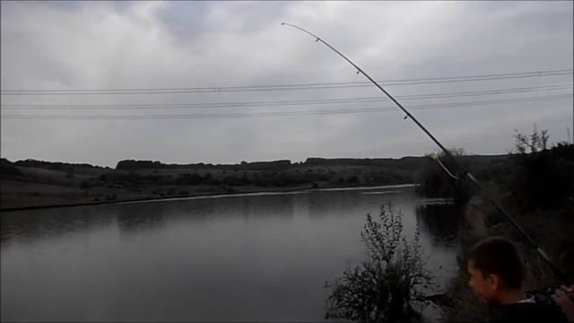 Ловля карпа и белого амура на пружину "Маодзедун".My fishing. смотреть онлайн