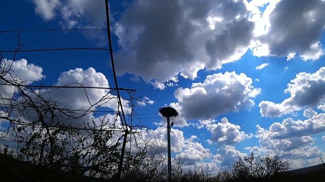 ПЕРВАЯ ГРОЗА В АПРЕЛЕ | УКРАИНА 2021 | Релаксация От Отшельника смотреть онлайн