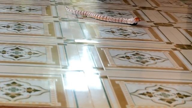 Remote Control Snake Toy Unboxing And ? Prank My Family ? | Mr.Suncity Vlog... смотреть онлайн