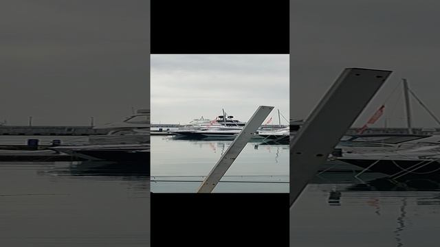 Поплывём по Черному морю! Огромный выбор в порту г.Сочи! смотреть онлайн