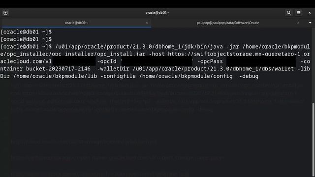 Oracle CLOUD: Back Up Oracle Databases to bucket Cloud Service Part 1 смотреть онлайн