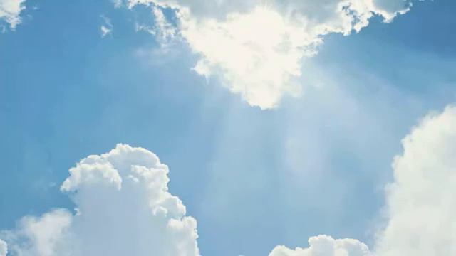 Pierre de la Rue - Sancta Maria Virgo - смотреть онлайн