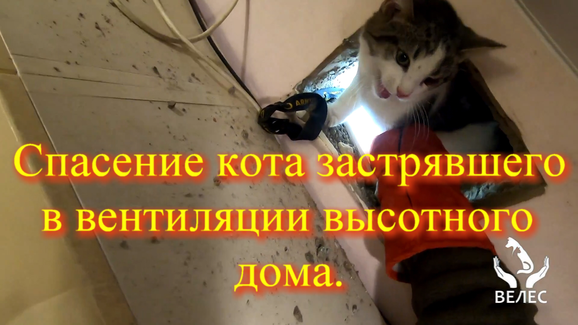 Спасение кота застрявшего в вентиляции высотного дома.