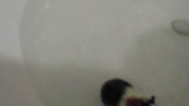 крыса в джакузи