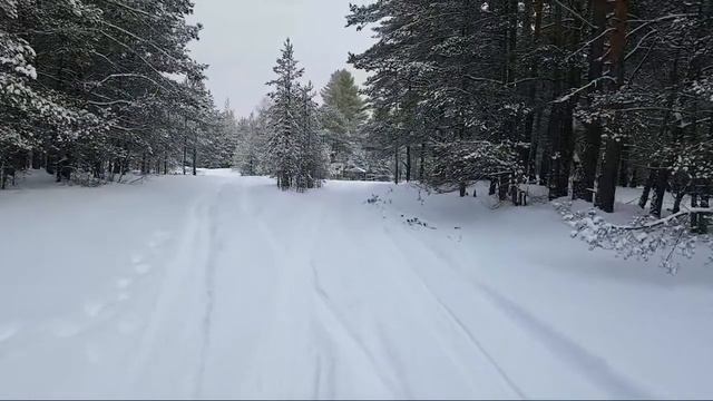 Катаемся По Лесам На Мерсе Оффроуд смотреть онлайн