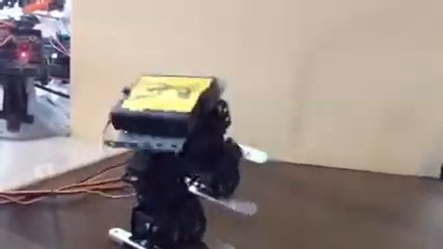 Biped Robot build from JavaScript, Node.js, Arduino смотреть онлайн