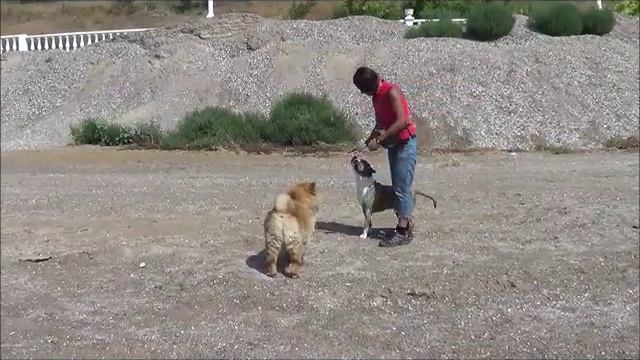 Джеф на тренировке по танцам. смотреть онлайн