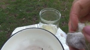 Как ускорить прорастание семян моркови