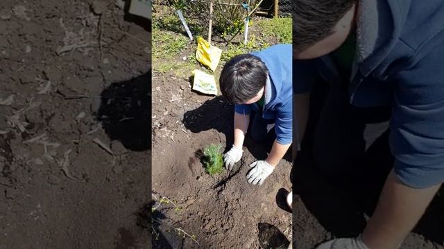 VLOG: С ДНЕМ ПОБЕДЫ! / НАКРЫВАЕМ ТЕПЛИЦУ / ВКУСНЫЙ ШАШЛЫК ИЗ КУРИЦЫ смотреть онлайн