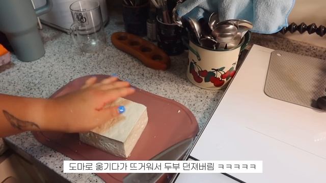 일상 브이로그 ? 운동,식단 습관 성형 다이어트 / 영어 공부도 시작했어요! 올만에 캠핑 나들이는 즐거웠다! смотреть онлайн