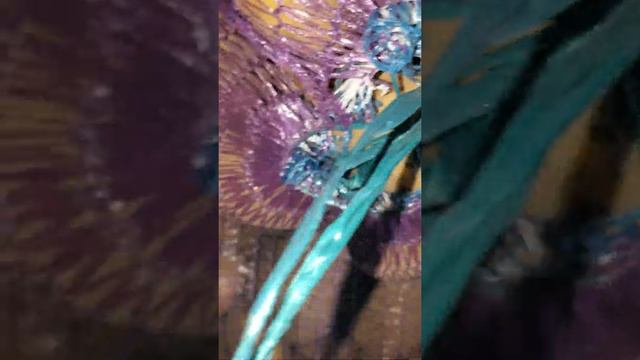 Картофель Королева Анна Брянская область смотреть онлайн