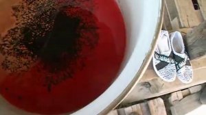 Смешивал масло трансмиссионное синтетику и минералку