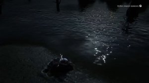 На какие приманки(блёсна)можно поймать канального сома?