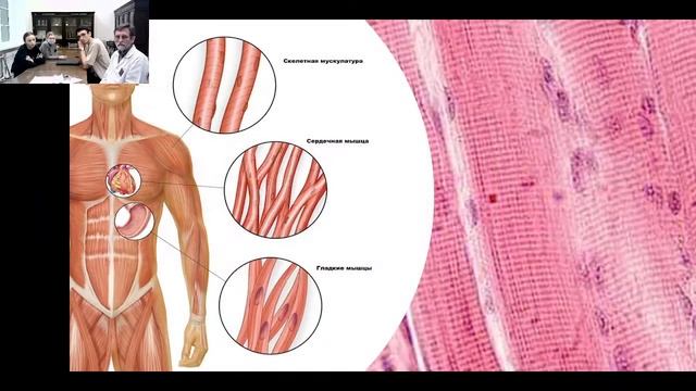 Заседание СНО 10.11.22