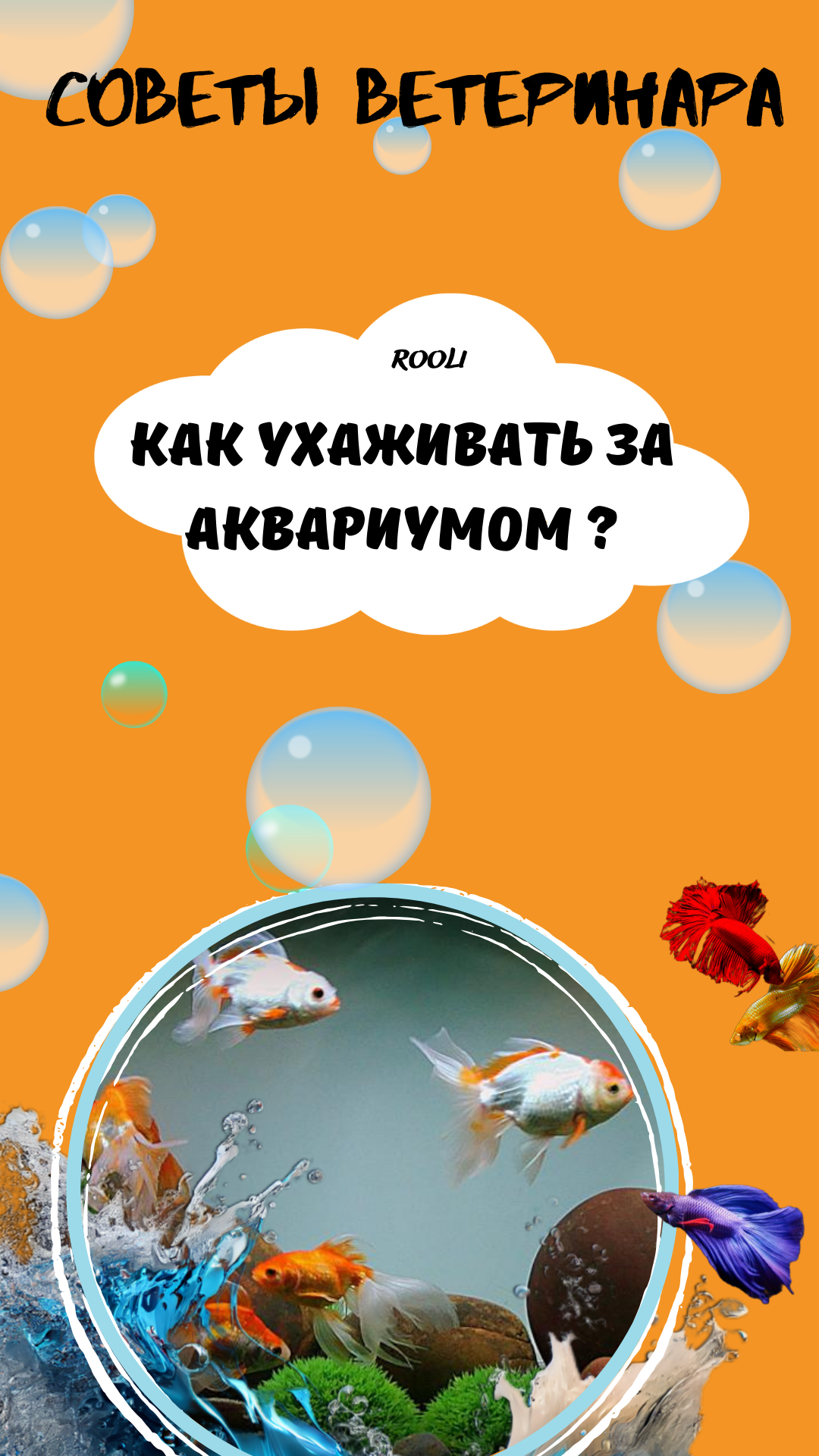Как ухаживать за аквариумом? Советы по заботе и уходу за вашим аквариумом. смотреть онлайн