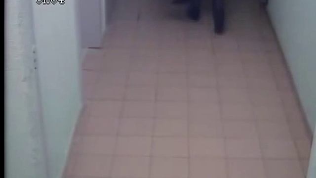 Скрытая камера в подъезде вот так Спалились смотреть онлайн