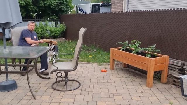 Трудные детки заработки , говорила моя прабабушка и она была права. Жизнь прожить, не поле перейти смотреть онлайн