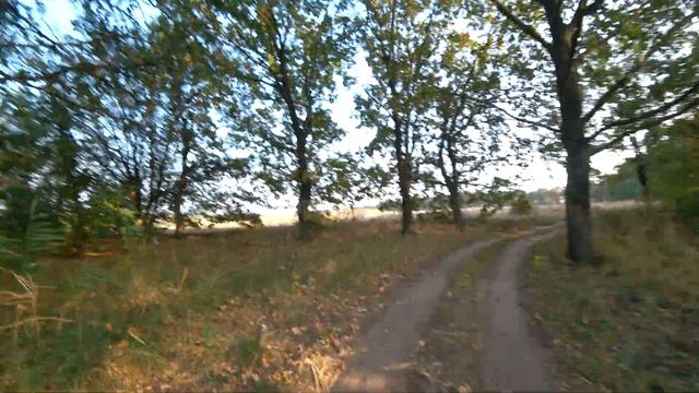 Повёз сестру на МЕСТНОЕ МОРЕ! Большой ставок в селе Чумаки, Днепропетровская область. смотреть онлайн