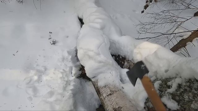 24 ЧАСА В ЛЕСУ В - 37! ДОМ НА ДЕРЕВЕ или ИЗБА НА ЛЫЖАХ ? Что ТЕПЛЕЕ и ЛУЧШЕ в МОРОЗ? ЖИЗНЬ в ЛЕСУ смотреть онлайн