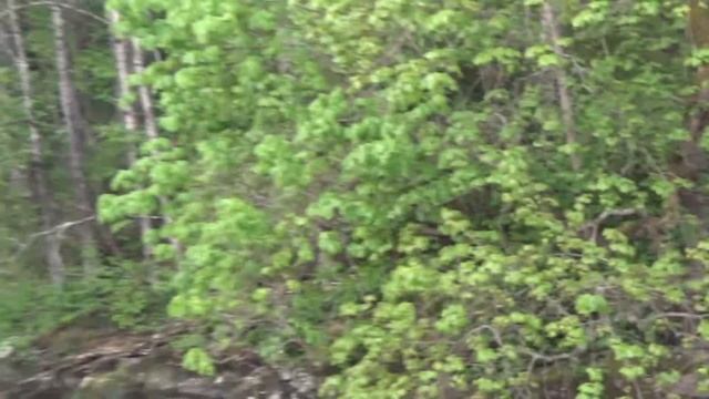 МОЯ ЖИЗНЬ В ФИНЛЯНДИИ, ВЫХОД СОВЕТСКОЙ АРМИИ ИЗ ФИНЛЯНДИИ смотреть онлайн