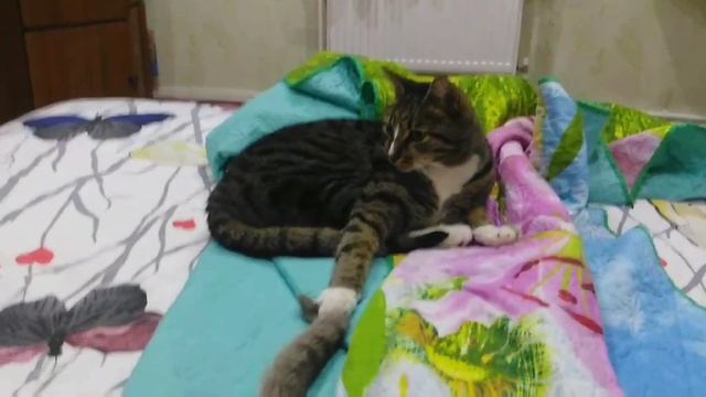 будь со мной