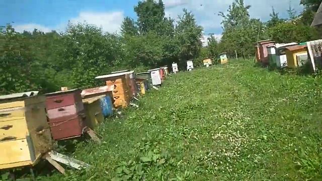 Малина Сныть Пчела работает смотреть онлайн